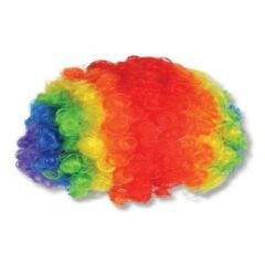 Renkli Palyaço Saçı / Peruğu