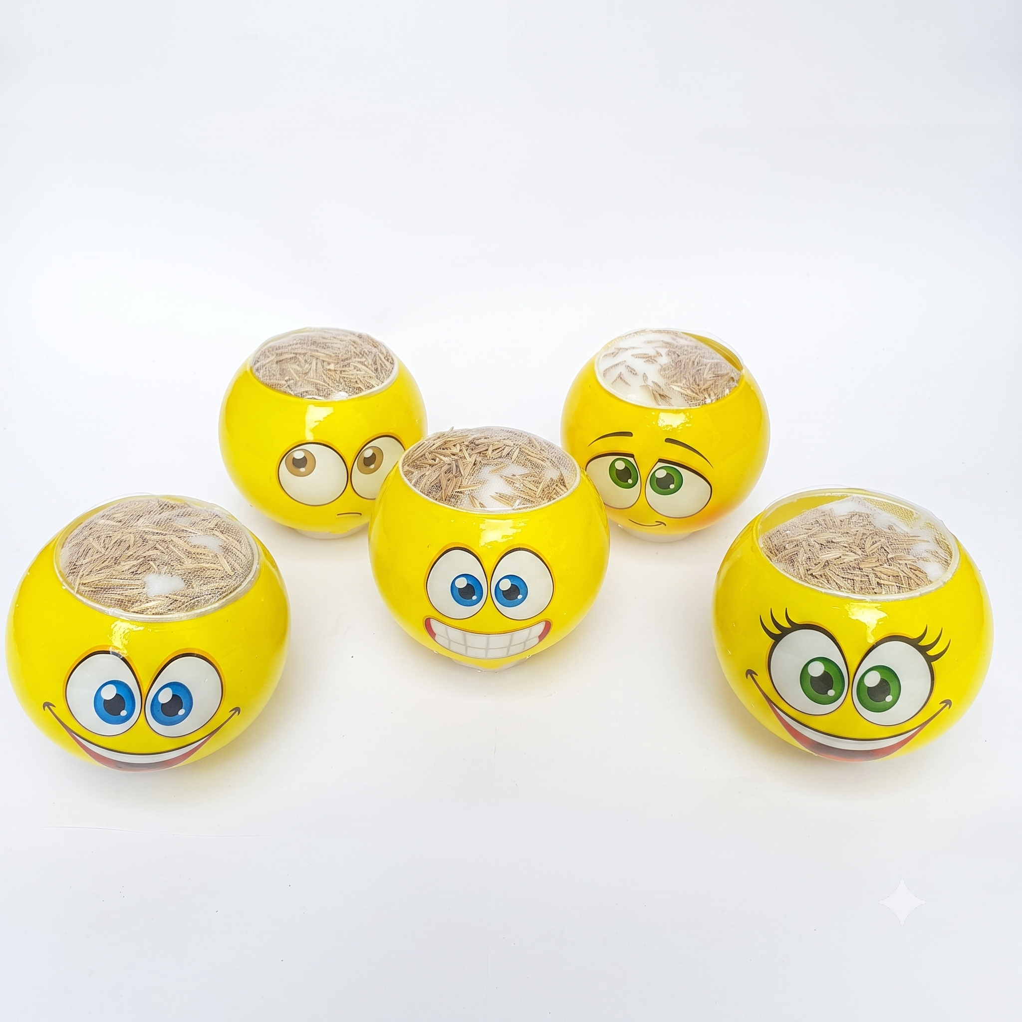 3D Emoji Çim Adam - Seramik Gövdeli Eğlenceli Çim Tohumlu Emoji Aksesuarı